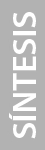 sintesis